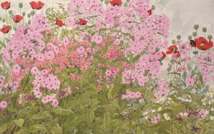 Rosa Phlox und Mohnblumen mit einem Schmetterling